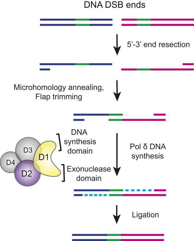 Fig. 7.