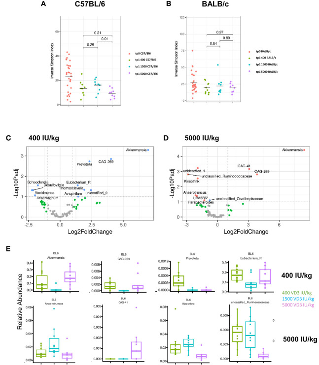 Figure 6