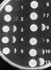 FIG. 1.