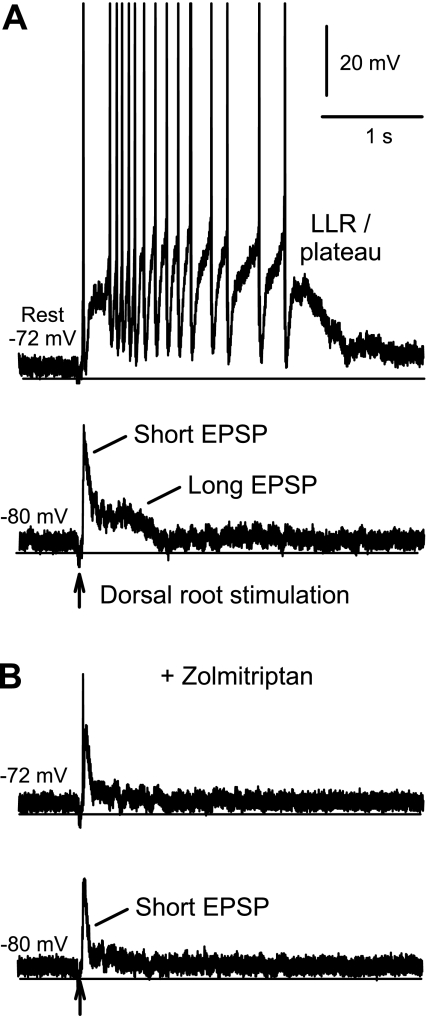 Fig. 8.