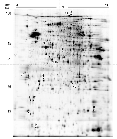 Fig. 1