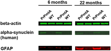 Fig. 4