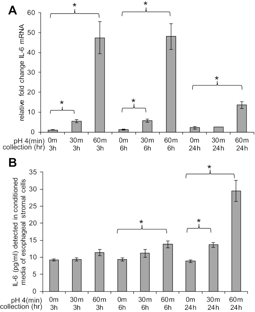 Fig. 10.