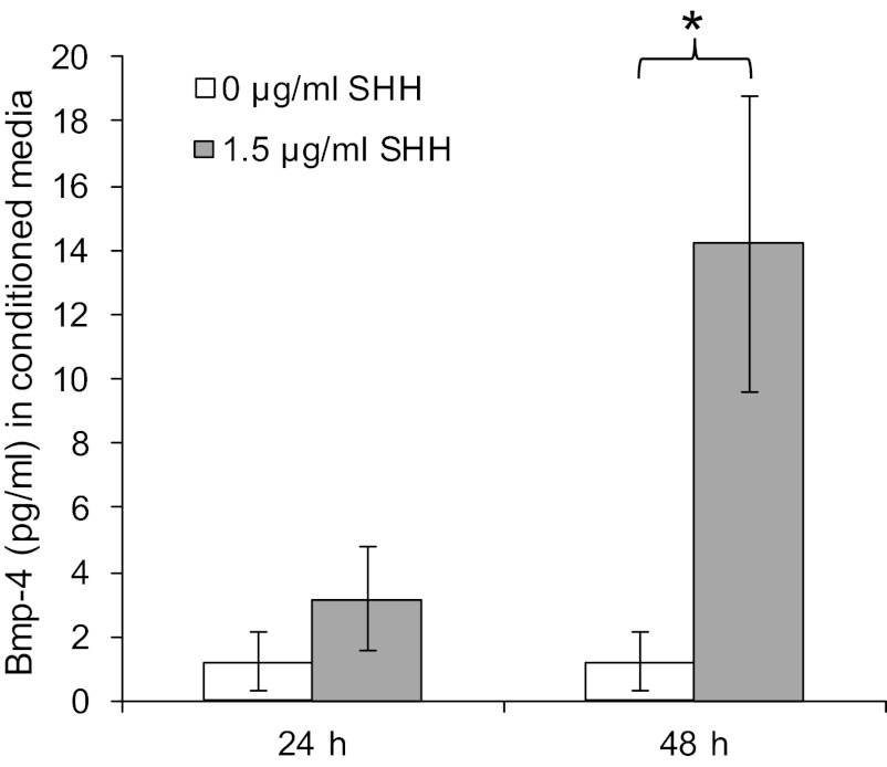 Fig. 13.