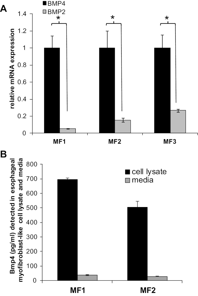 Fig. 12.