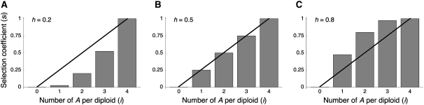 Figure 3.—