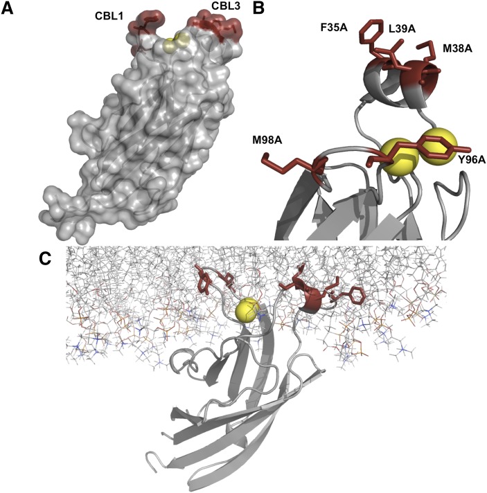 Fig. 1.