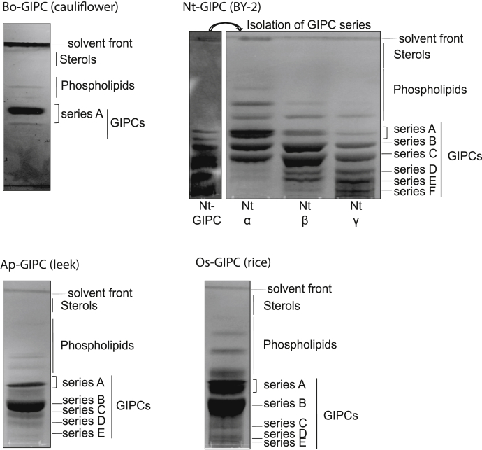 Figure 3