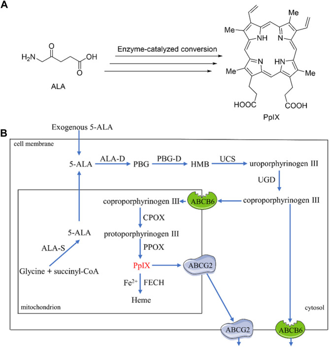 FIGURE 1