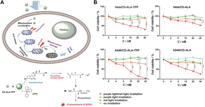 FIGURE 11