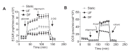 Figure 1—figure supplement 7.