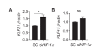 Figure 6—figure supplement 5.