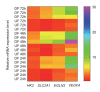 Figure 1—figure supplement 5.