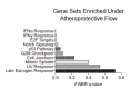 Figure 1—figure supplement 2.