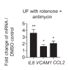 Figure 6—figure supplement 3.