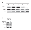 Figure 3—figure supplement 2.