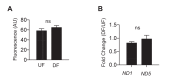 Figure 5—figure supplement 1.