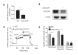Figure 6—figure supplement 2.