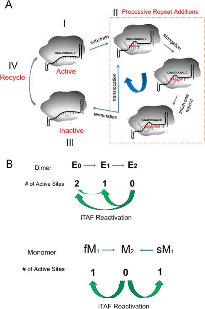 Figure 7.