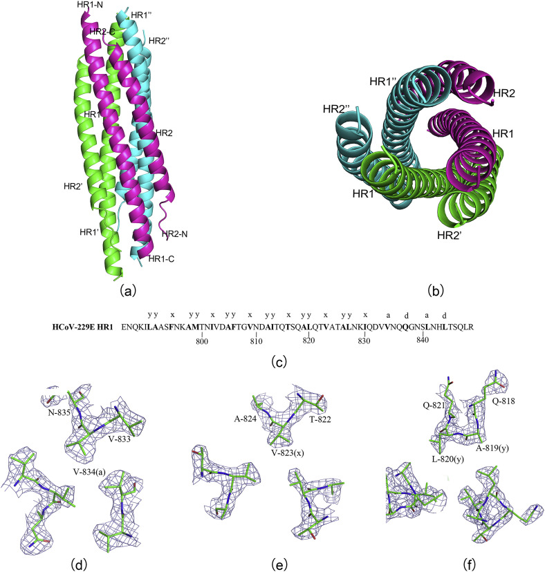 Fig. 2