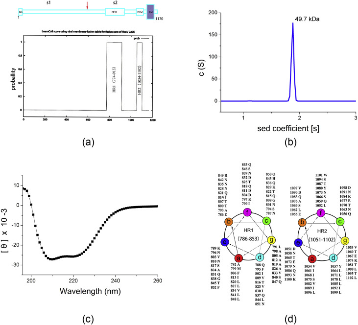 Fig. 1