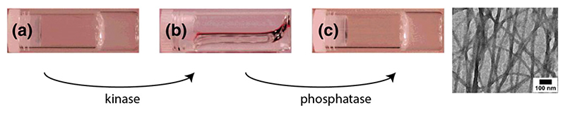 Fig. 5