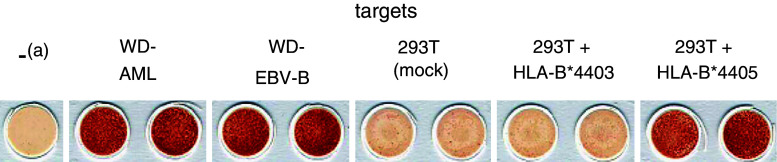 Fig. 2