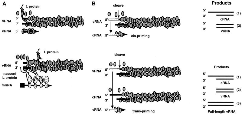 FIG. 9