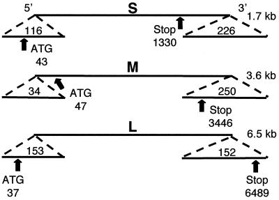 FIG. 8