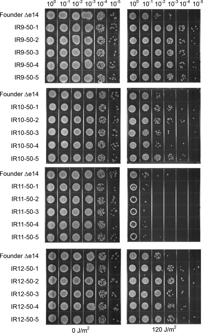 FIG 6