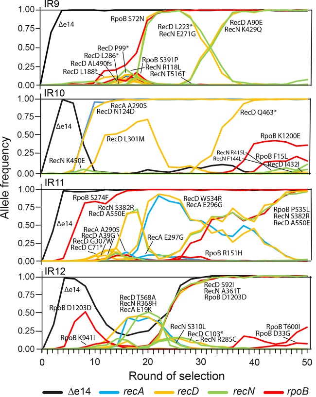 FIG 10