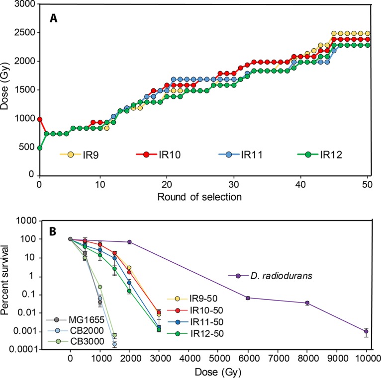 FIG 3