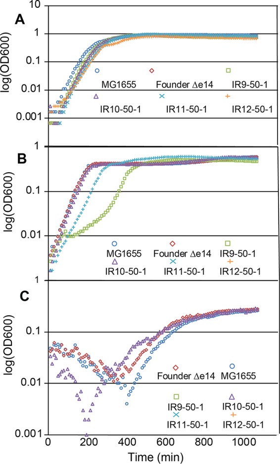 FIG 4