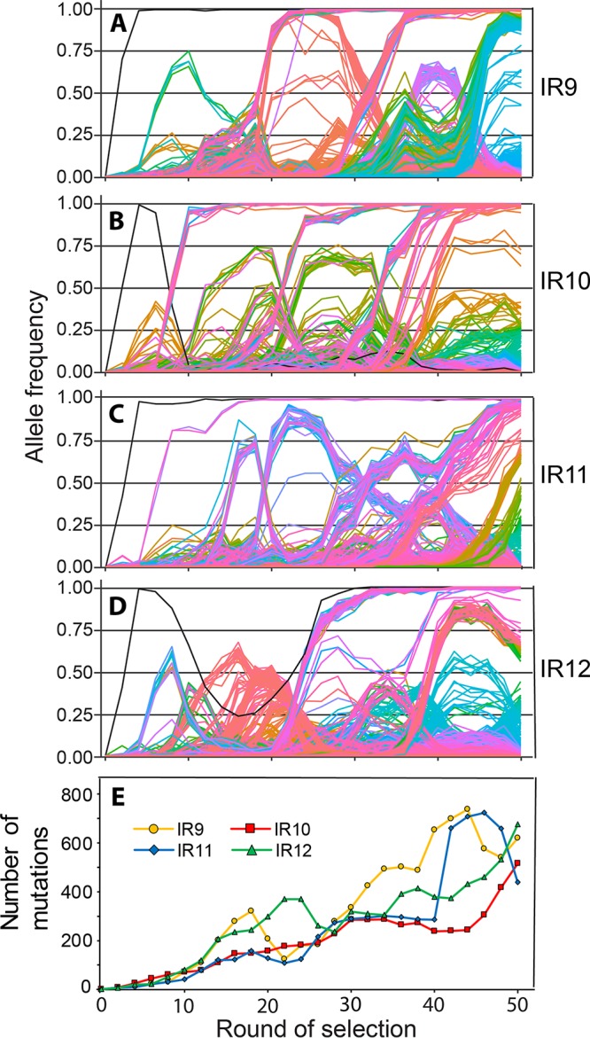 FIG 8