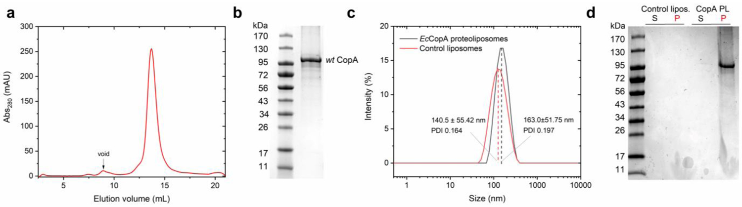 Figure 2: