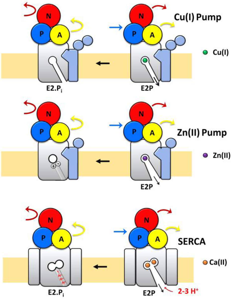 Figure 7: