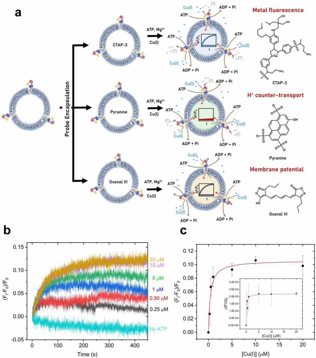 Figure 4: