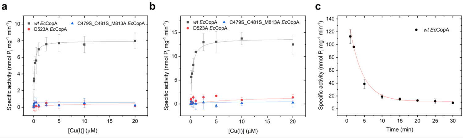 Figure 3: