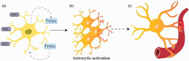 Figure 6.