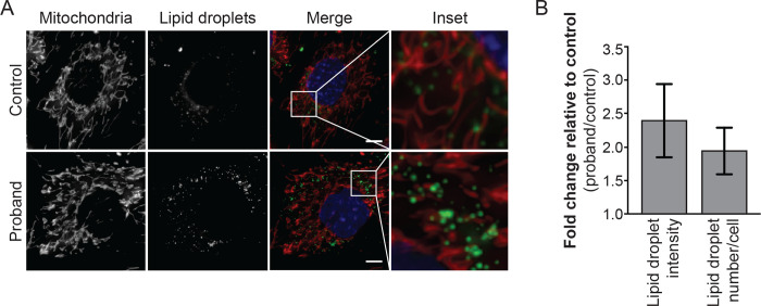 Figure 2 |