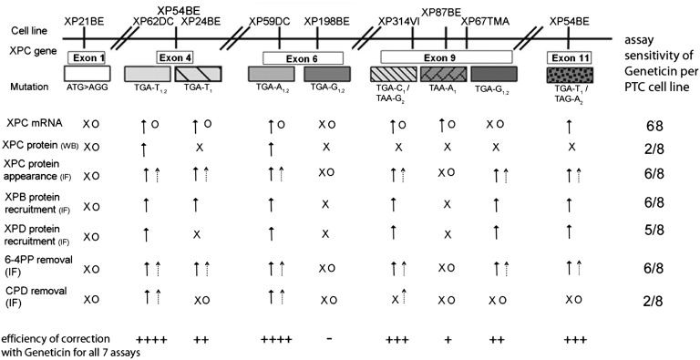 Fig. 6.