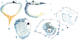 FIG. 5.