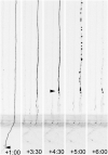 FIG. 6.
