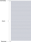 FIG. 1.
