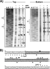 FIG. 4.