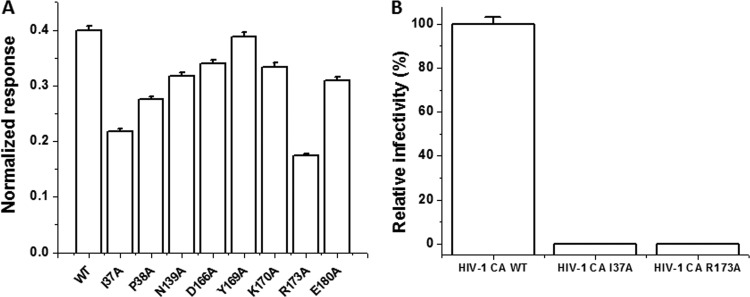 Fig 6