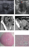 Fig. 1.