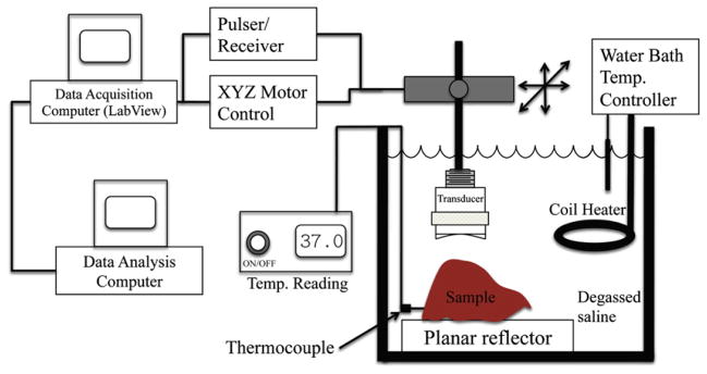 Fig. 1