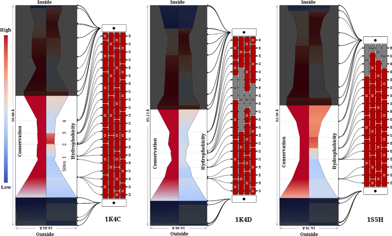 Figure 13