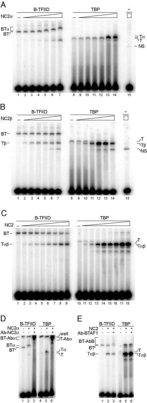 FIG.3.